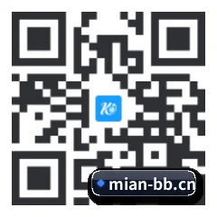 系统版 iOS 二维码